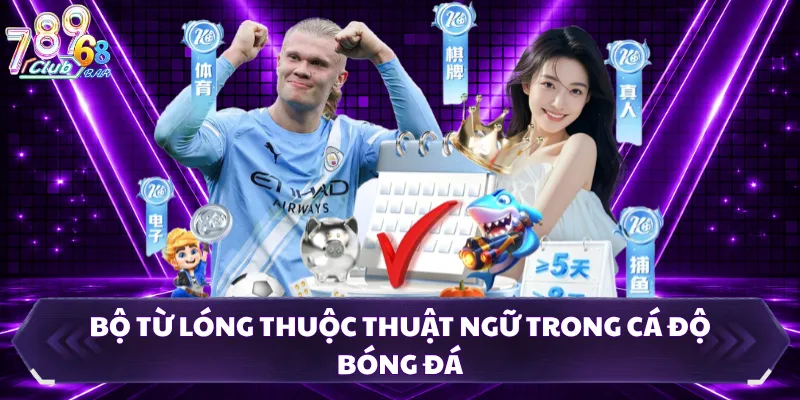 Bộ từ lóng thuộc thuật ngữ trong cá độ bóng đá 