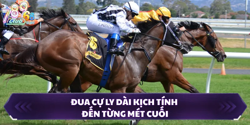 Đua cự ly dài kịch tính đến từng mét cuối