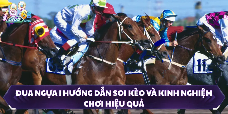 Đua Ngựa | Hướng Dẫn Soi Kèo Và Kinh Nghiệm Chơi Hiệu Quả