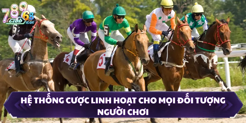 Hệ thống cược linh hoạt cho mọi đối tượng người chơi