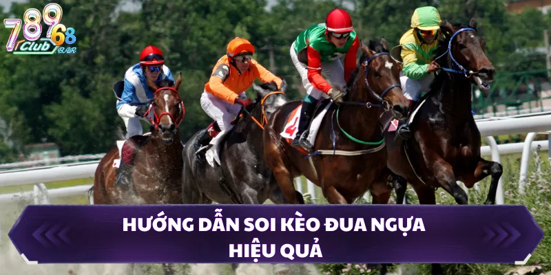 Hướng dẫn soi kèo đua ngựa hiệu quả