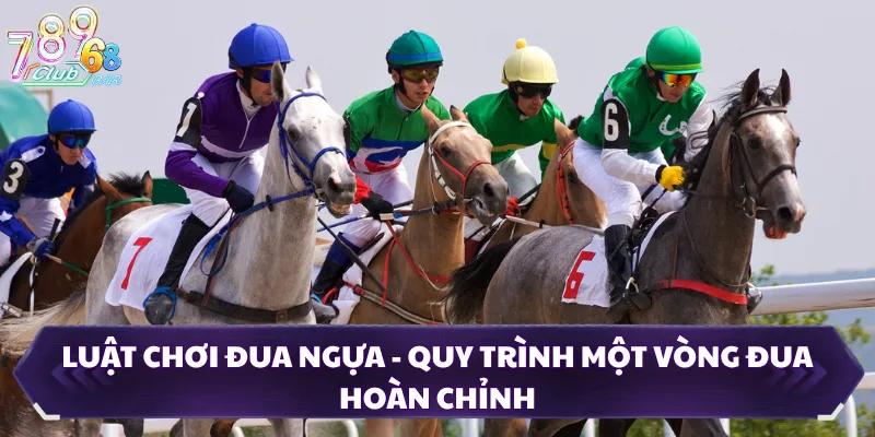Luật Chơi Đua Ngựa - Quy Trình Một Vòng Đua Hoàn Chỉnh