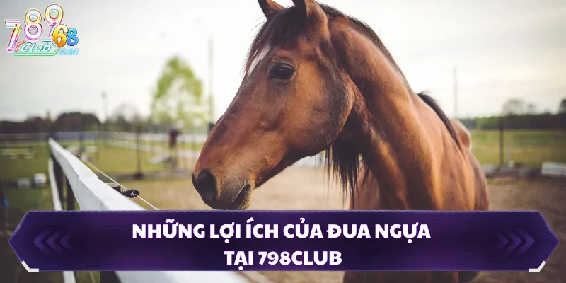 Những lợi ích của đua ngựa tại 798Club