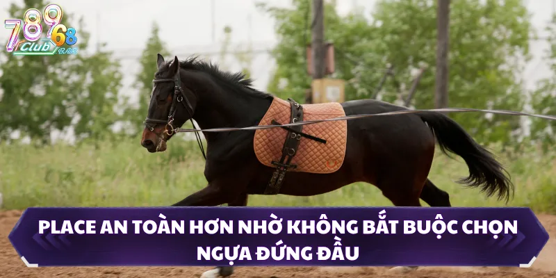 Place an toàn hơn nhờ không bắt buộc chọn ngựa đứng đầu