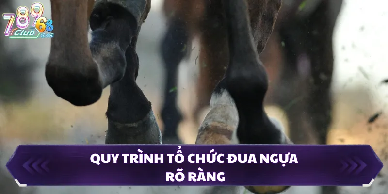 Quy trình tổ chức đua ngựa rõ ràng