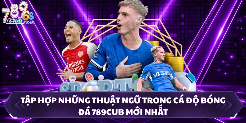 Tập Hợp Những Thuật Ngữ Trong Cá Độ Bóng Đá 789CUB Mới Nhất