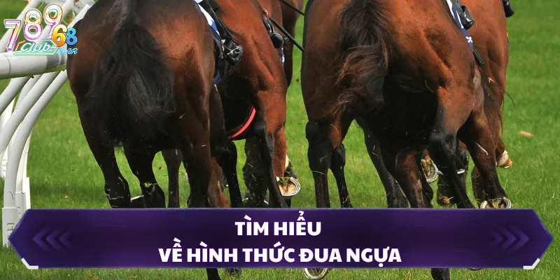 Tìm hiểu về hình thức đua ngựa